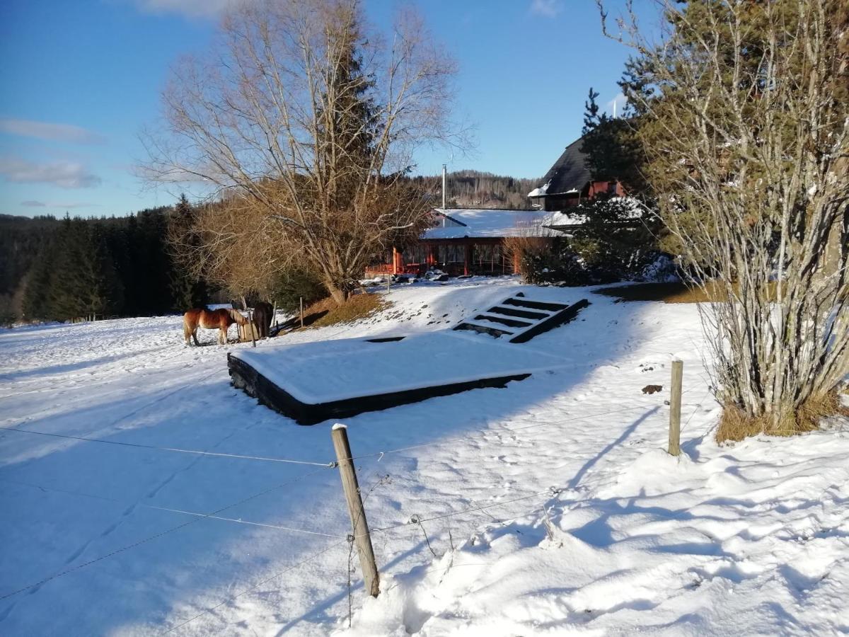 Penzion Farma U Mauritzu Stožec Exterior foto
